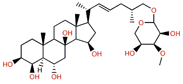 Antarcticoside E